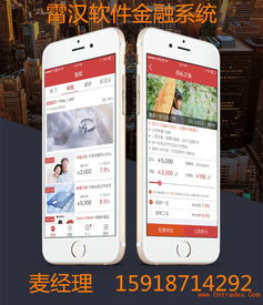 广州p2p金融系统开发